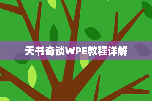 天书奇谈WPE教程详解图片