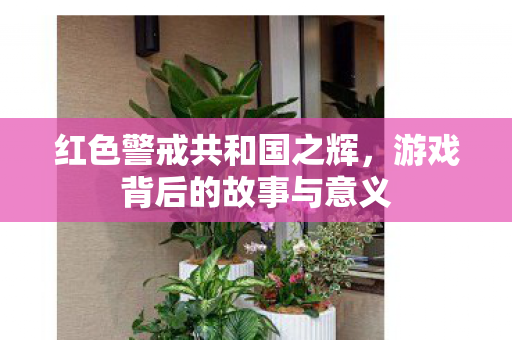 游戏背后的故事与意义图片