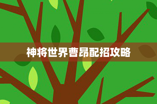 神将世界曹昂配招攻略图片