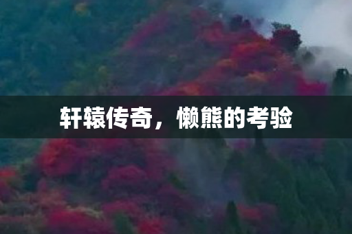 懒熊的考验图片