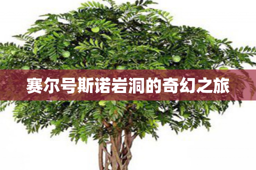 赛尔号斯诺岩洞的奇幻之旅图片