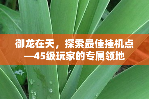 45级玩家的专属领地图片