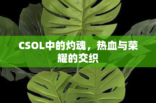 CSOL中的灼魂图片