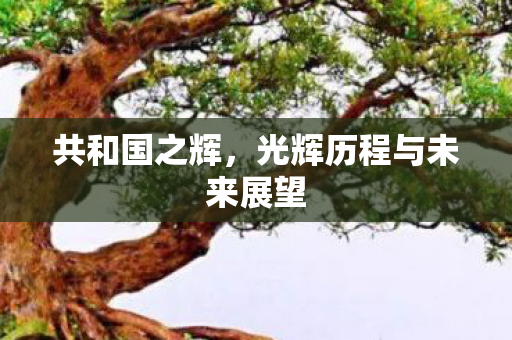 光辉历程与未来展望图片