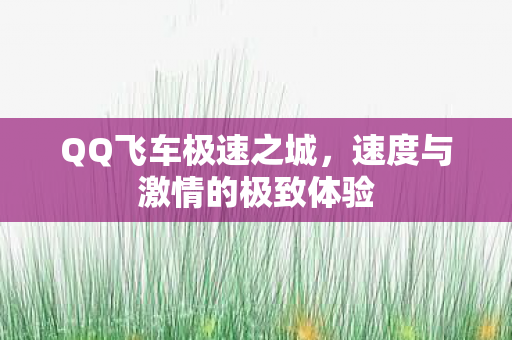 速度与激情的极致体验图片
