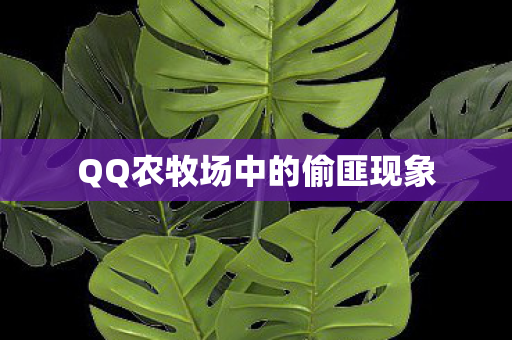 QQ农牧场中的偷匪现象图片