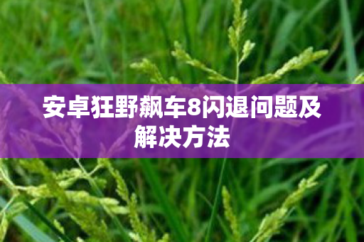 安卓狂野飙车8闪退问题及解决方法图片