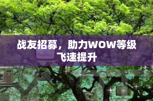 助力WOW等级飞速提升图片