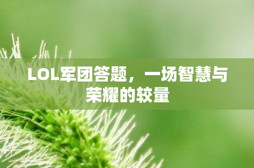 一场智慧与荣耀的较量图片
