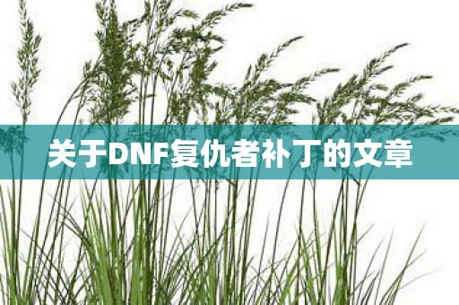 关于DNF复仇者补丁的文章图片