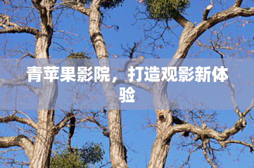 打造观影新体验图片