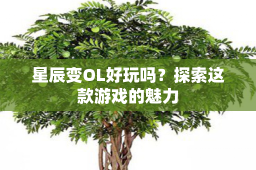 探索这款游戏的魅力图片