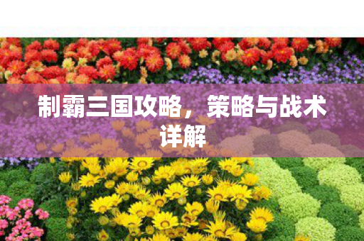 策略与战术详解图片