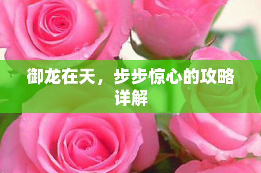 步步惊心的攻略详解图片