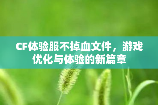 游戏优化与体验的新篇章图片