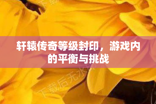 游戏内的平衡与挑战图片