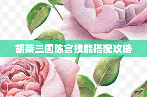 胡莱三国陈宫技能搭配攻略图片