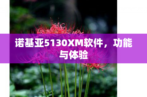 诺基亚5130XM软件图片