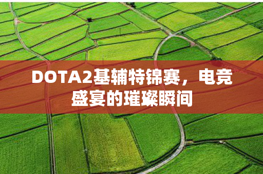 DOTA2基辅特锦赛图片