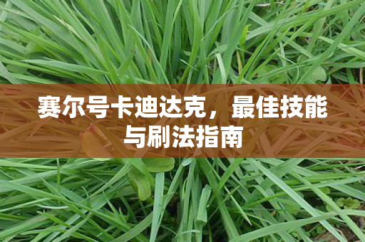 最佳技能与刷法指南图片