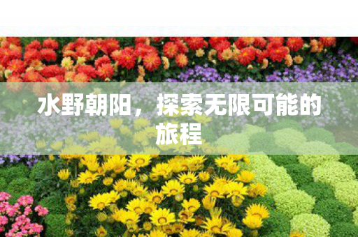 探索无限可能的旅程图片