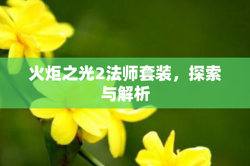 火炬之光2法师套装图片