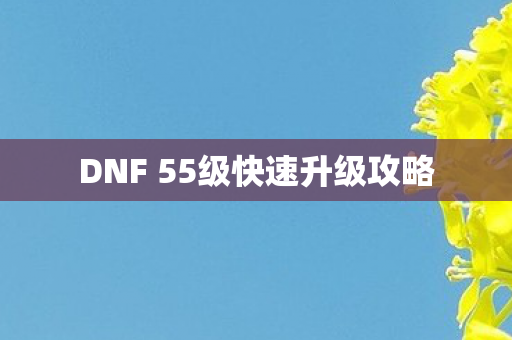 DNF 55级快速升级攻略图片