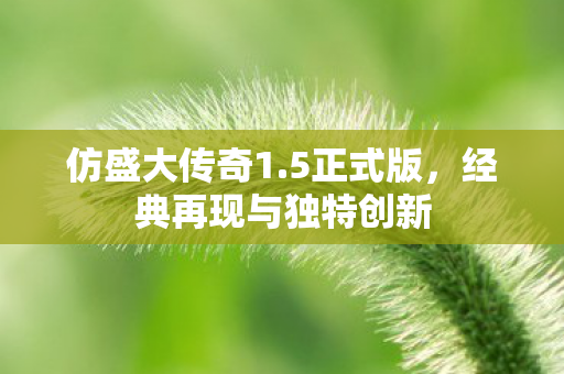 经典再现与独特创新图片