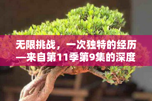 来自第11季第9集的深度解析图片