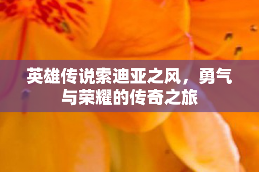 勇气与荣耀的传奇之旅图片