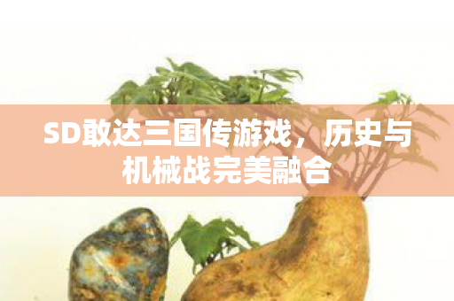 历史与机械战完美融合图片
