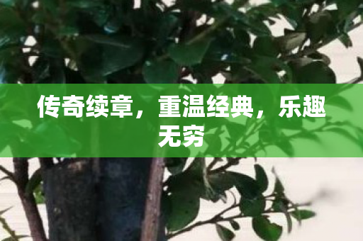 传奇续章图片