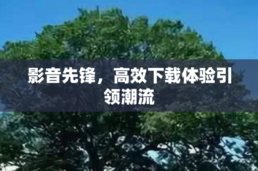 高效下载体验引领潮流图片