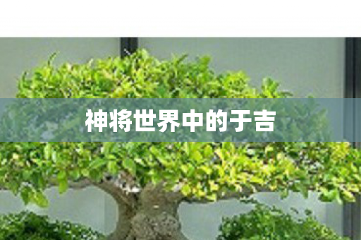 神将世界中的于吉图片