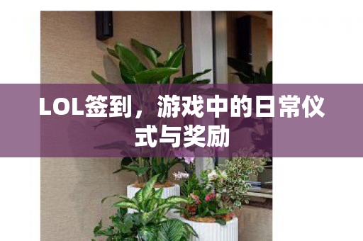 游戏中的日常仪式与奖励图片