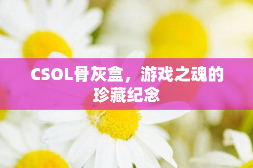 游戏之魂的珍藏纪念图片