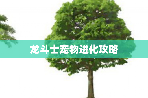 龙斗士宠物进化攻略图片