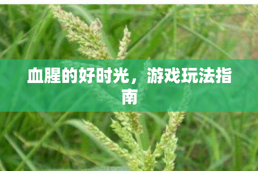 血腥的好时光图片