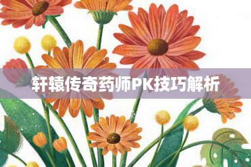轩辕传奇药师PK技巧解析图片