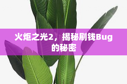 揭秘刷钱Bug的秘密图片