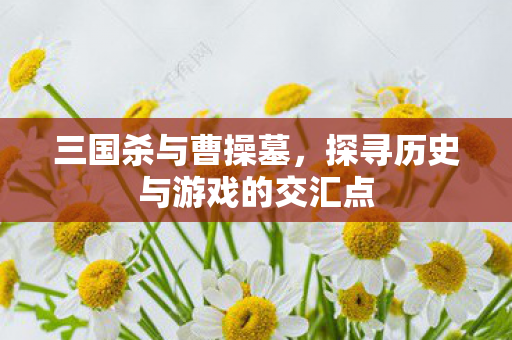 探寻历史与游戏的交汇点图片