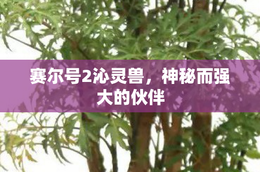神秘而强大的伙伴图片