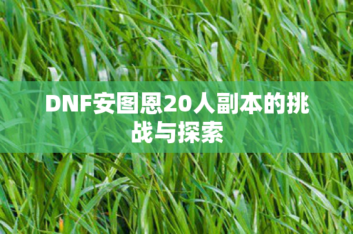 DNF安图恩20人副本的挑战与探索图片