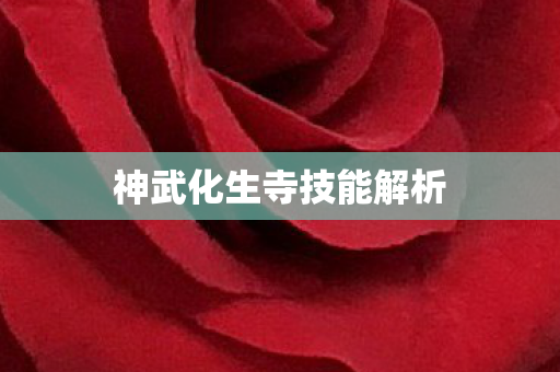 神武化生寺技能解析图片