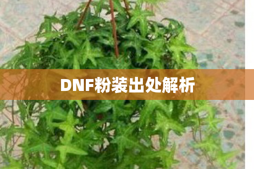 DNF粉装出处解析图片