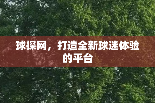 打造全新球迷体验的平台图片