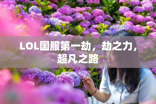 LOL国服第一劫图片