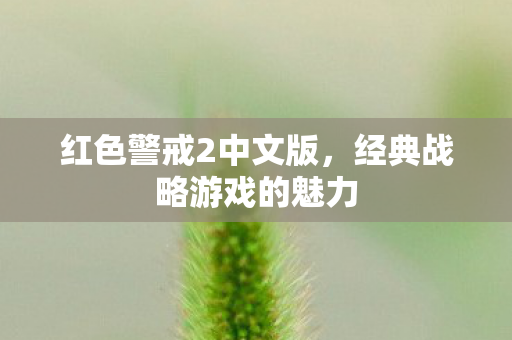 经典战略游戏的魅力图片