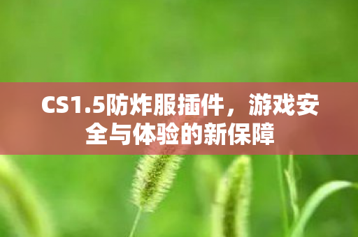 游戏安全与体验的新保障图片
