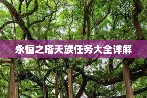 永恒之塔天族任务大全详解图片